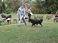 img 137